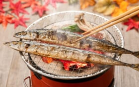 サンマが教えてくれた「思いやり」