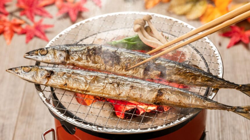 サンマが教えてくれた「思いやり」