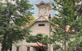 「東京から札幌に引っ越しました！」 場所を選ばず働ける、Soichiroのリモートワークをご紹介