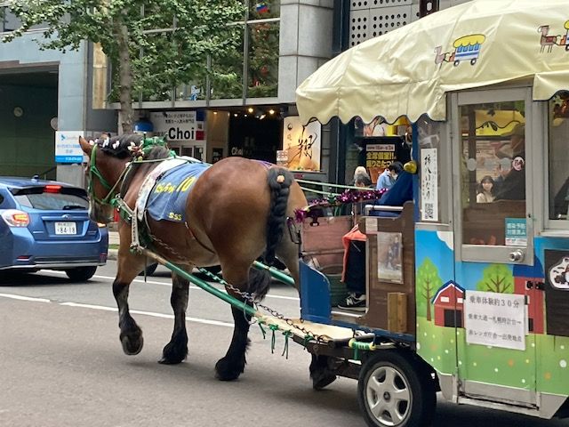 闊歩していたお馬さん