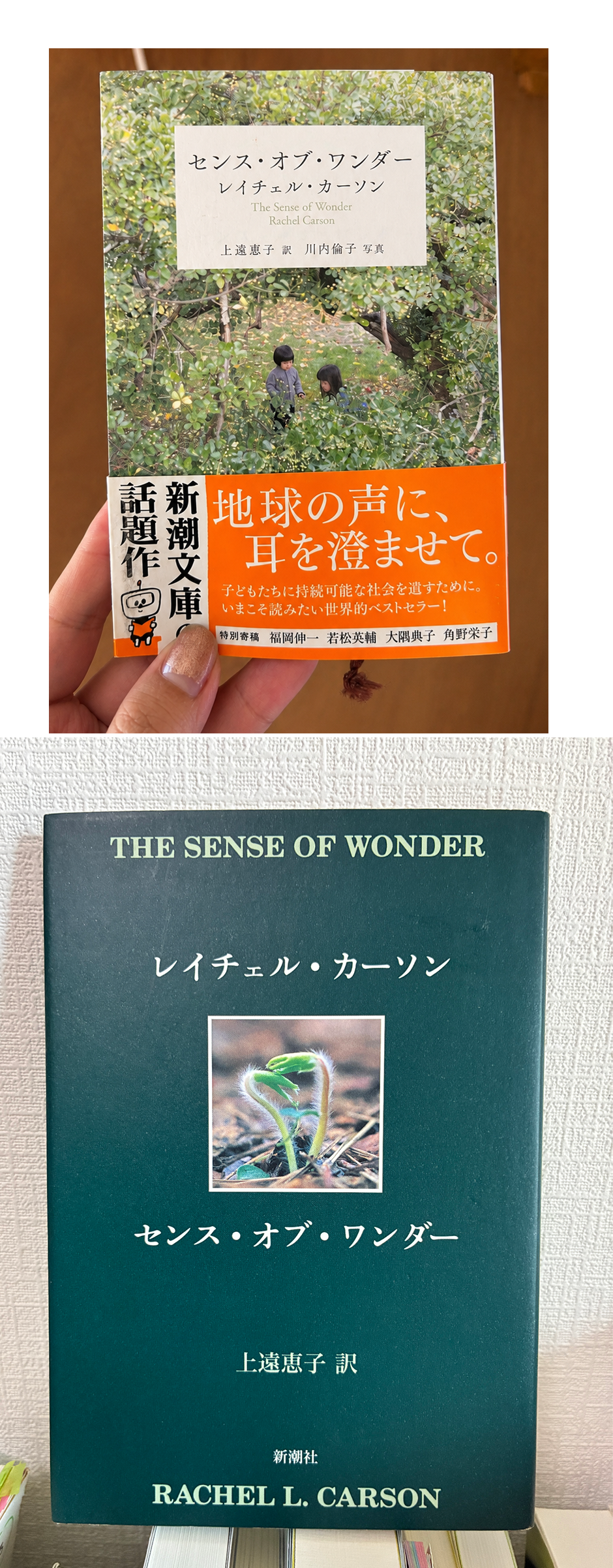 オオニシ所蔵版」「マツオ所蔵版」