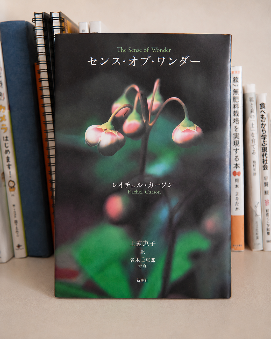 Tの一冊ピックアップ